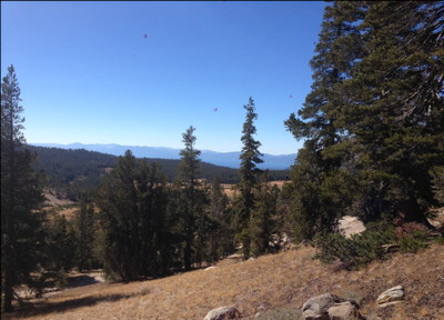 View from Mount Rose